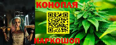 шишки Краснокаменск