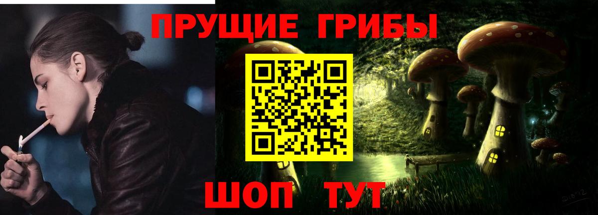 Елизово  Псилоцибиновые грибы Psilocybine cubensis  Вход с VPN  как найти закладки  Галлюциногенные грибы Psilocybe 
